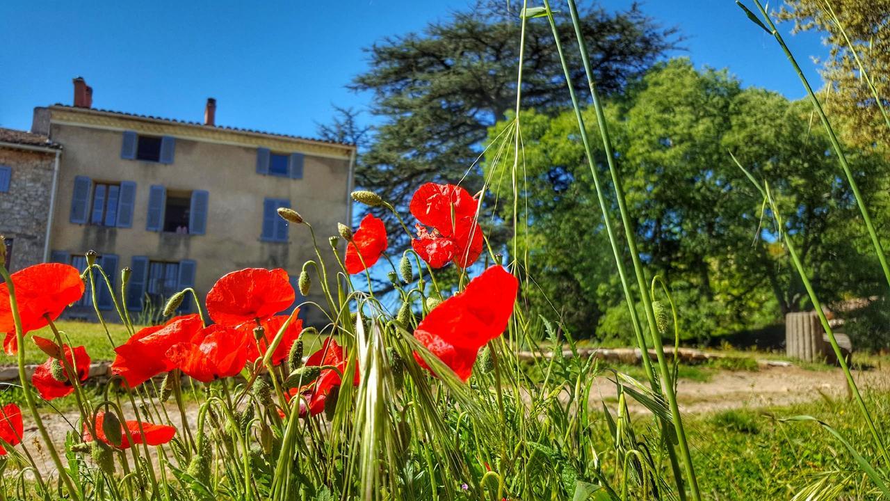 Le Domaine Saint Martin Bed & Breakfast Flassans-sur-Issole Luaran gambar